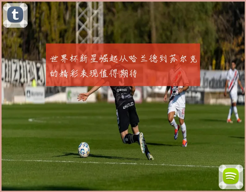 世界杯新星崛起从哈兰德到苏尔克的精彩表现值得期待